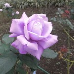 シャルルドゥゴール