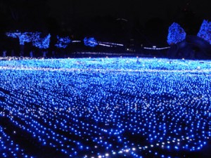 ミッドタウン　イルミネーション