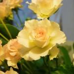 ファンシーローラ