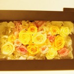 20110420プリザーブドフラワーウェディンググッズ（犬）