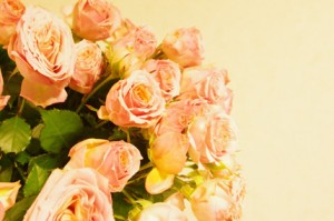 SPバラ　ミスティックサラ