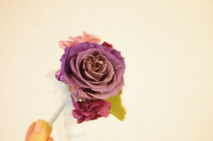 20120323Pブトニア