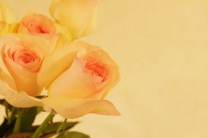 バラ　アートラブ