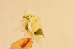 20120324Fブトニア