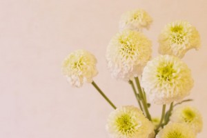 エッジホワイト